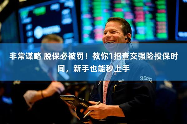 非常谋略 脱保必被罚！教你1招查交强险投保时间，新手也能秒上手