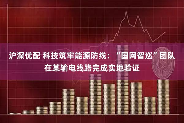 沪深优配 科技筑牢能源防线：“国网智巡”团队在某输电线路完成实地验证