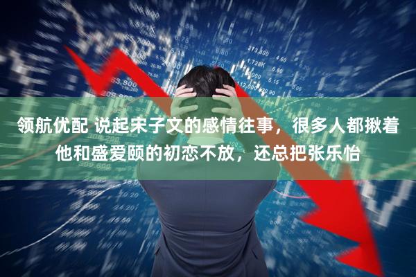 领航优配 说起宋子文的感情往事，很多人都揪着他和盛爱颐的初恋不放，还总把张乐怡