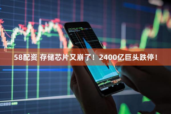 58配资 存储芯片又崩了！2400亿巨头跌停！